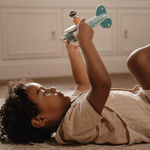 Load image into Gallery viewer, Toy Airplane