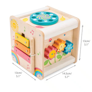 Activity Wooden Cube