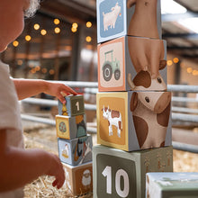 Load image into Gallery viewer, Building blocks - Little farm
