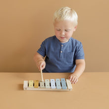 Load image into Gallery viewer, Xylophone
